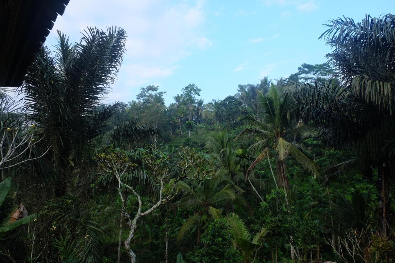 Villa Gunung Kawi House Tegallalang  Exterior foto