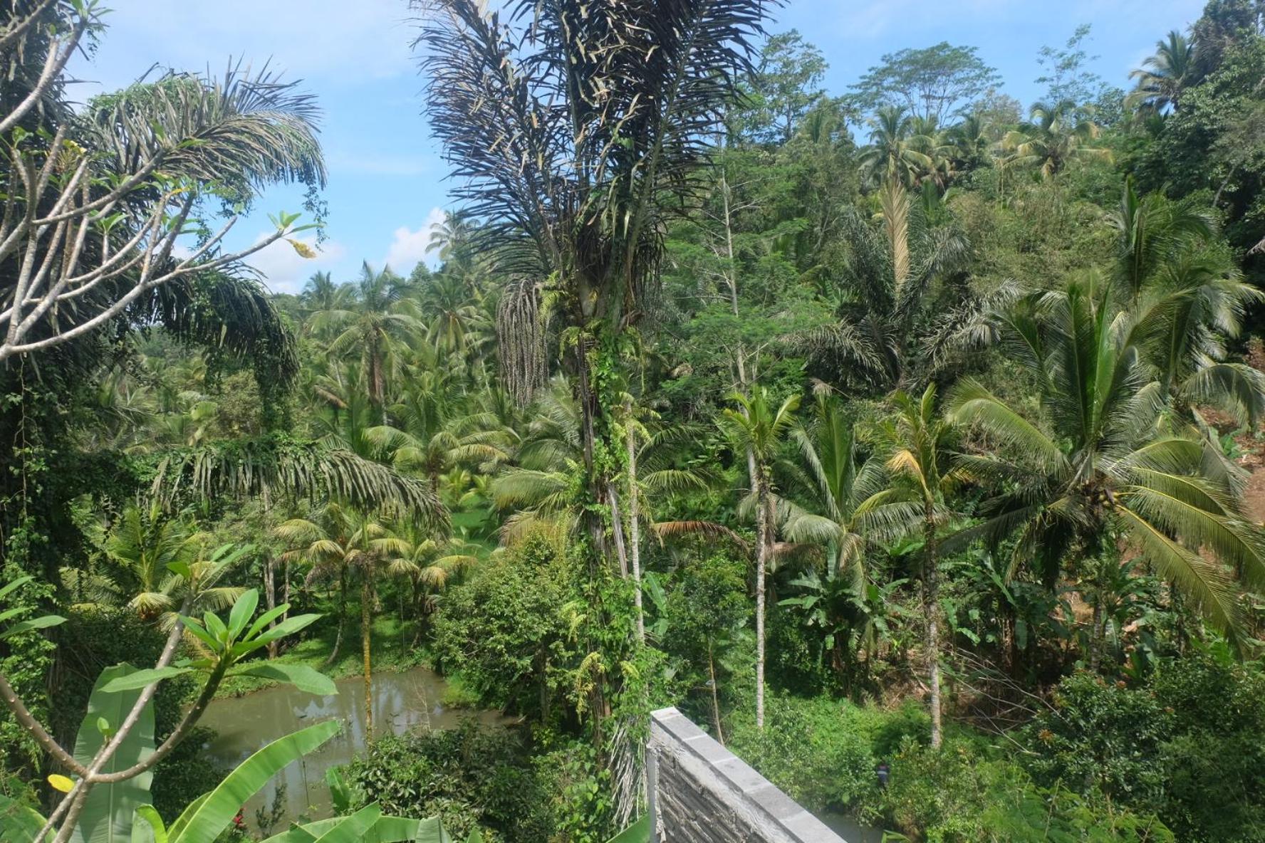 Villa Gunung Kawi House Tegallalang  Exterior foto