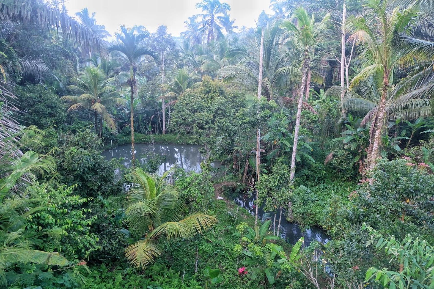 Villa Gunung Kawi House Tegallalang  Exterior foto